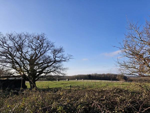 Vente Maison 15 pièces 310 m2 à Montmorillon