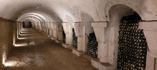 MANOIR A LA CHARTRE SUR LE LOIR  ET SES CAVES EXCEPTIONNELLES