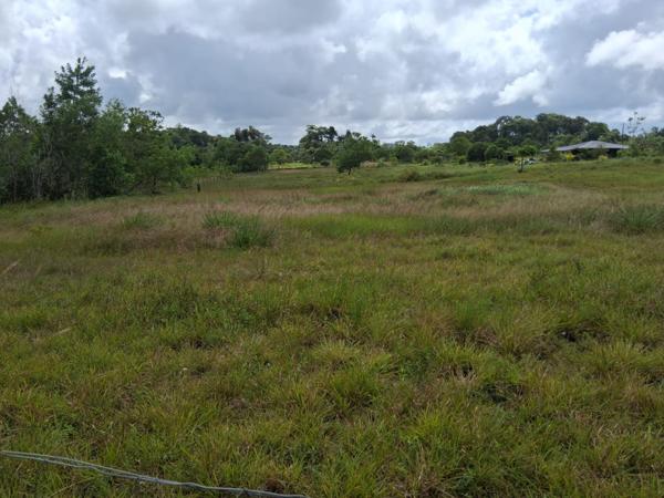 Terrain 3381 m² -constructible - KOUROU