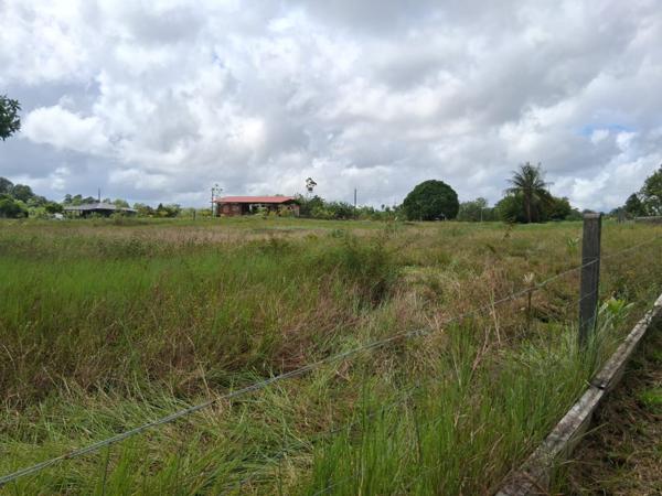 Terrain 3381 m² -constructible - KOUROU