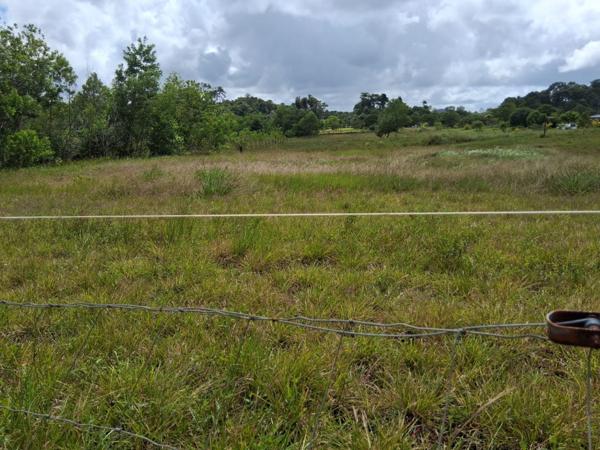 Terrain 3381 m² -constructible - KOUROU