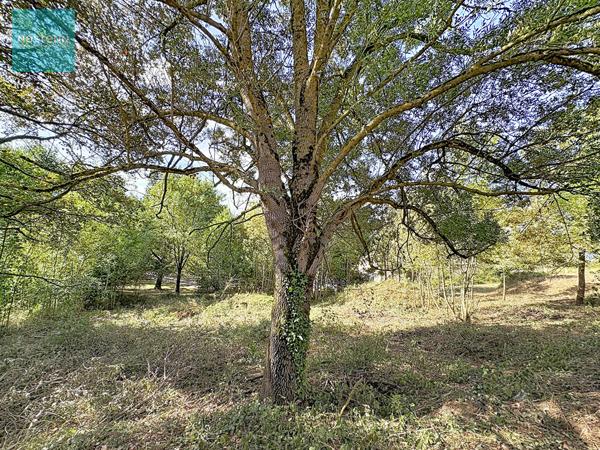 Terrain à vendre 2500m2 vue Pyrénées Nailloux 31560