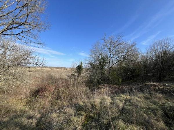 Terrain à vendre |  Montvalent |  5456 m²