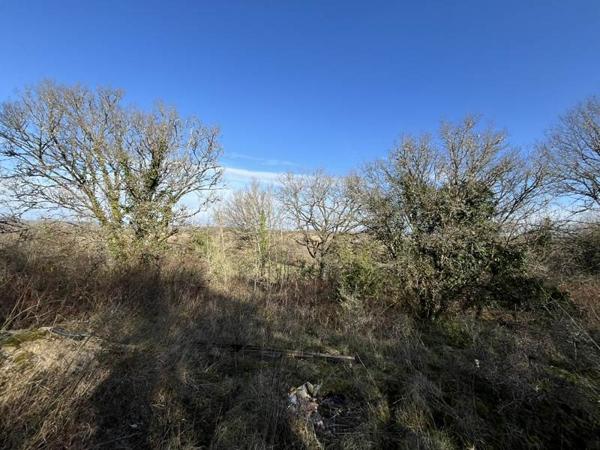 Terrain à vendre |  Montvalent |  5456 m²