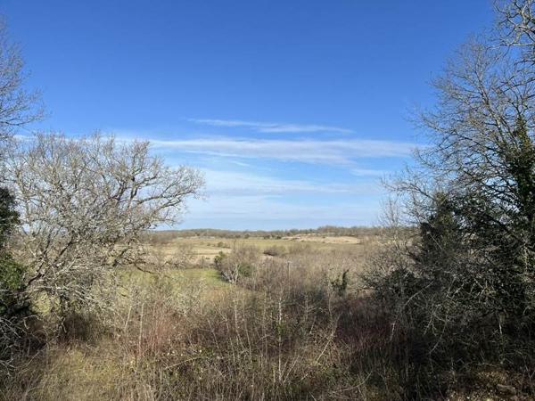 Terrain à vendre |  Montvalent |  5456 m²