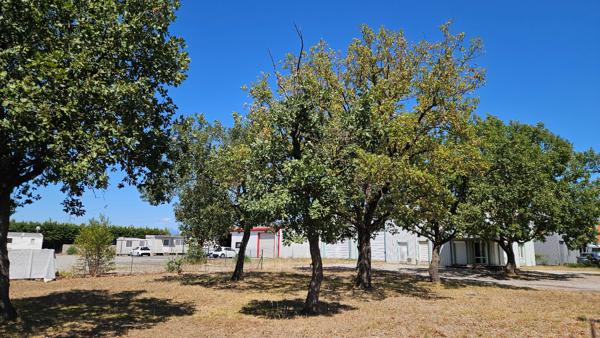 Local commercial , Sisteron