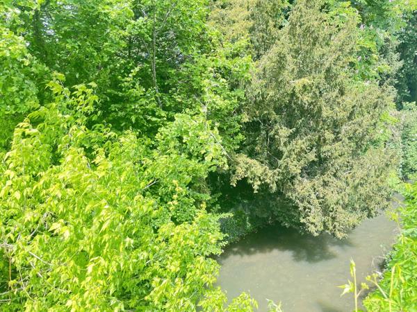 Vente                                                      Appartement
                        
                     4 pièces                      115 m2                     à Nevers