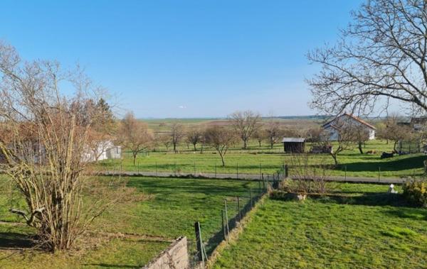 Vente Maison Maison individuelle Dieuze   