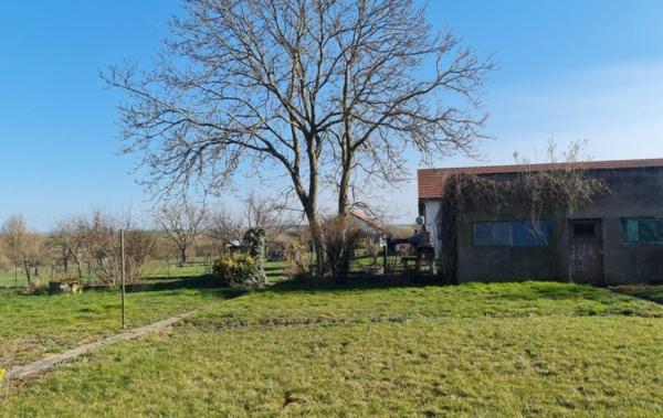 Vente Maison Maison individuelle Dieuze   