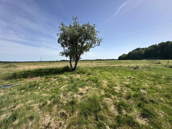 Vente                                                      Ferme
                        
                     6 pièces                      156 m2                     à Chauvigny