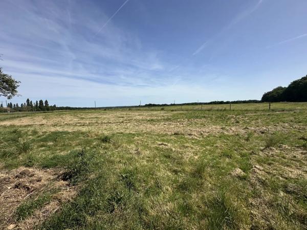 Vente                                                      Ferme
                        
                     6 pièces                      156 m2                     à Chauvigny