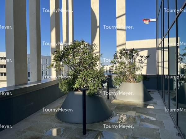 L'ARK BORDEAUX BELVEDERE - BUREAUX A LOUER