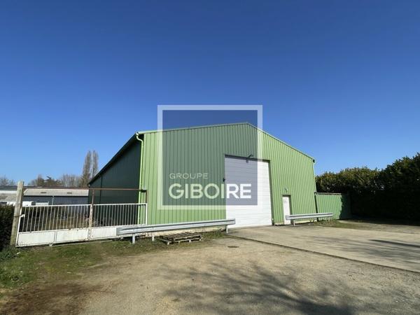 Local d'activites 450 m² à vendre BETTON (réf : 35.6606)