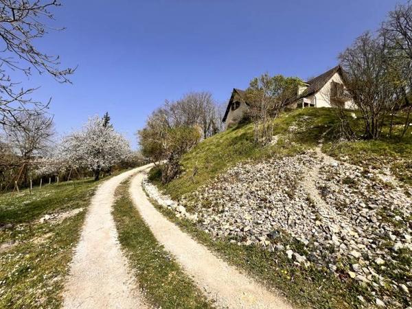 Maison à vendre |  Venesmes |  7 pièces | 172 m²