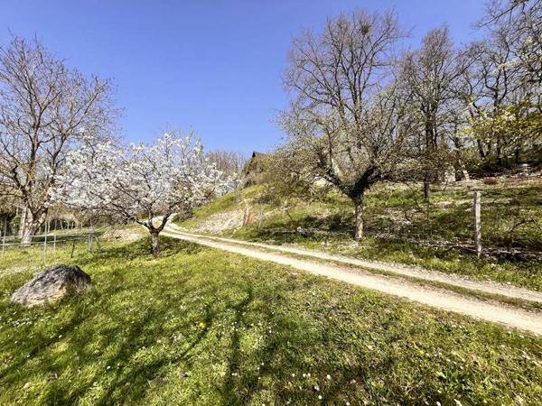 Maison à vendre |  Venesmes |  7 pièces | 172 m²