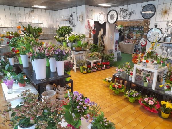 Fonds de commerce dans Bourbon-Lancy