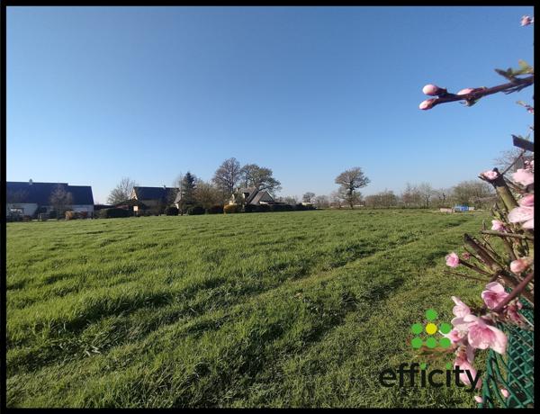 Terrain - 552 m² Exclusivité efficity