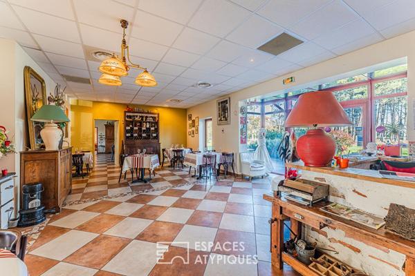 Murs de restaurant entre forêt et océan