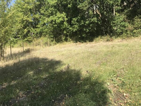 Maison à vendre |  Cazes-Mondenard |  4 pièces | 105 m²