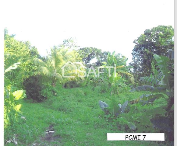 Terrain plat, viabilisable – 1 346 m² – Gros-Morne – À saisir !