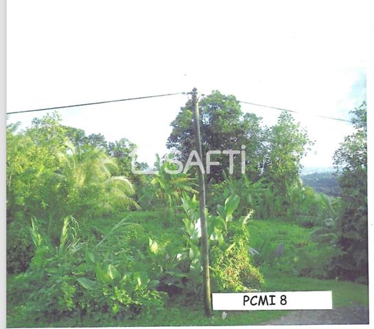 Terrain plat, viabilisable – 1 346 m² – Gros-Morne – À saisir !