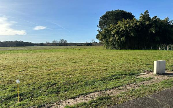 Terrain à vendre    Saint-Geours-de-Maremne