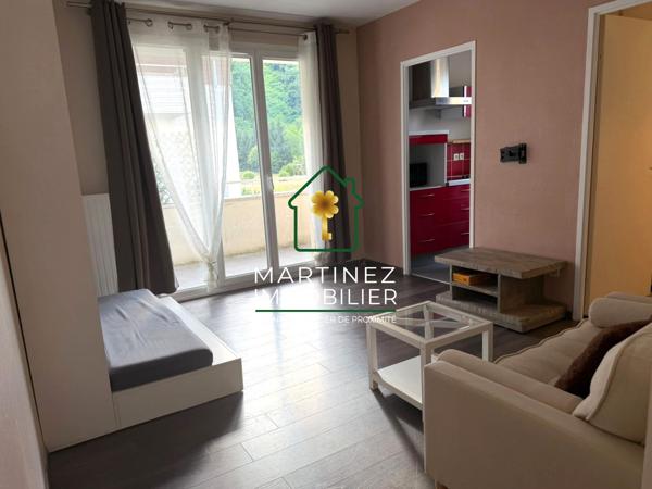 Appartement à louer, 1 pièce - Rumilly 74150