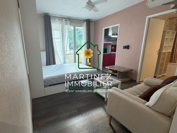 Appartement à louer, 1 pièce - Rumilly 74150