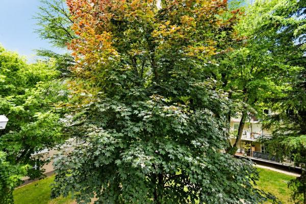 Appartement
         3 pièces
        - 63 m² Exclusivité 273 000 € *