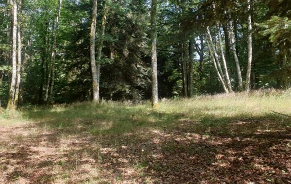 Vente Maison Linards   