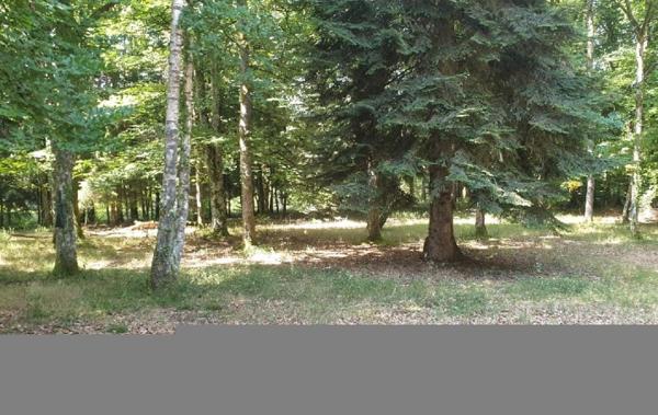 Vente Maison Linards   