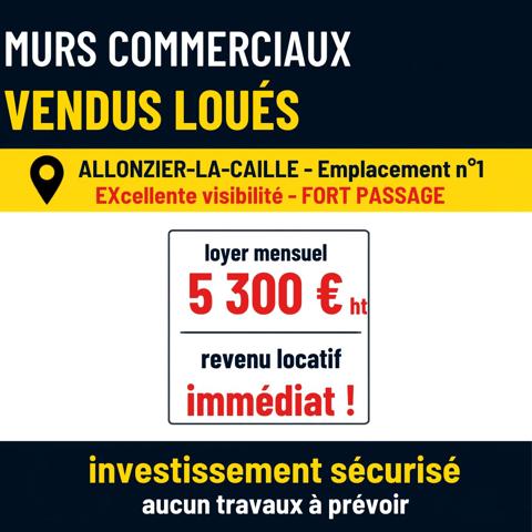 Immobilier pro dans Allonzier-la-Caille