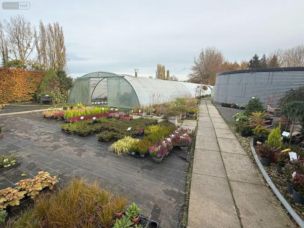 Fonds et/ou murs commerciaux à vendre à Saint-Martin-lez-Tatinghem dans le Pas-de-Calais (62500), ref : E62SML29