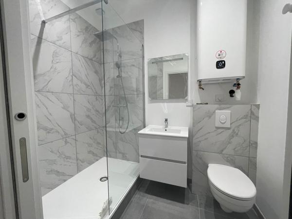 A saisir Lot de 2 Appartements refait à neuf hyper centre ville Saint Etienne