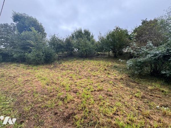 Terrain à bâtir à Savenay 