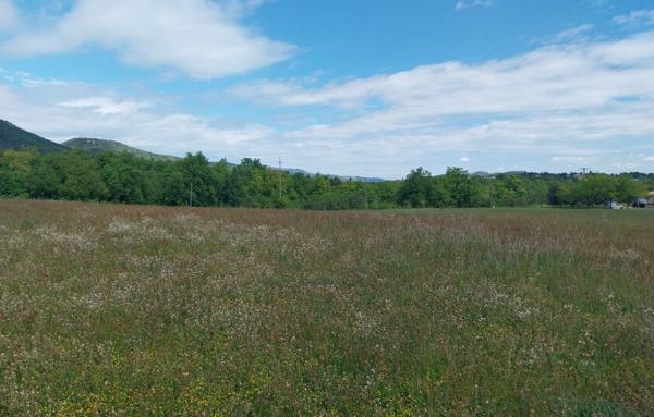 TERRAIN A BATIR 1112 M2 VIABILISE (SAINT GEORGES LES BAINS 07800)