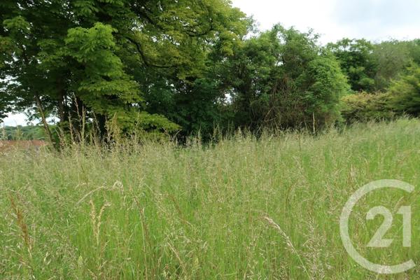 terrain à vendre 740 m2 LE MALESHERBOIS - 45