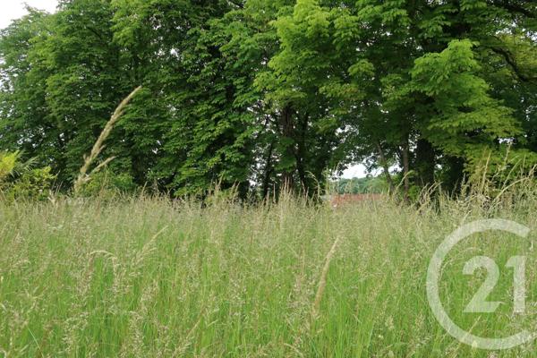 terrain à vendre 740 m2 LE MALESHERBOIS - 45