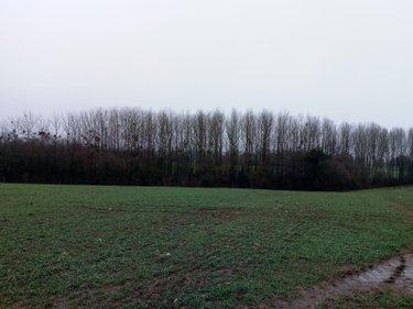 Divers à vendre à Vimartin sur Orthe en Mayenne (53160), ref : 805 Divers à vendre à Vimartin sur Orthe en Mayenne (53160), ref : 805