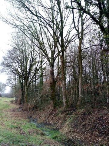 Divers à vendre à Vimartin sur Orthe en Mayenne (53160), ref : 805 Divers à vendre à Vimartin sur Orthe en Mayenne (53160), ref : 805