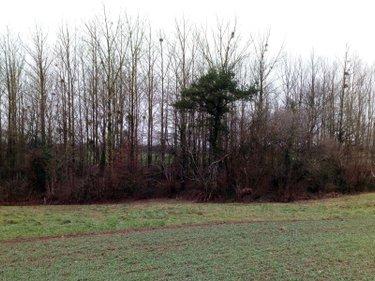 Divers à vendre à Vimartin sur Orthe en Mayenne (53160), ref : 805 Divers à vendre à Vimartin sur Orthe en Mayenne (53160), ref : 805