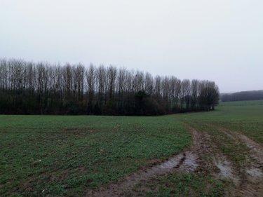 Divers à vendre à Vimartin sur Orthe en Mayenne (53160), ref : 805 Divers à vendre à Vimartin sur Orthe en Mayenne (53160), ref : 805