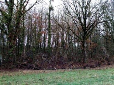 Divers à vendre à Vimartin sur Orthe en Mayenne (53160), ref : 805 Divers à vendre à Vimartin sur Orthe en Mayenne (53160), ref : 805