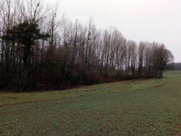 Divers à vendre à Vimartin sur Orthe en Mayenne (53160), ref : 805 Divers à vendre à Vimartin sur Orthe en Mayenne (53160), ref : 805