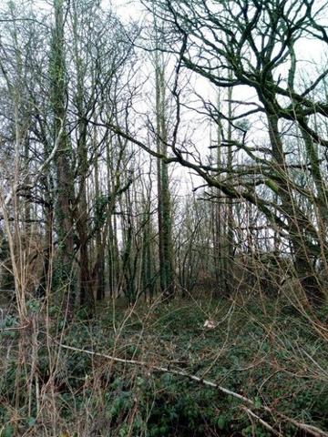 Divers à vendre à Vimartin sur Orthe en Mayenne (53160), ref : 805 Divers à vendre à Vimartin sur Orthe en Mayenne (53160), ref : 805