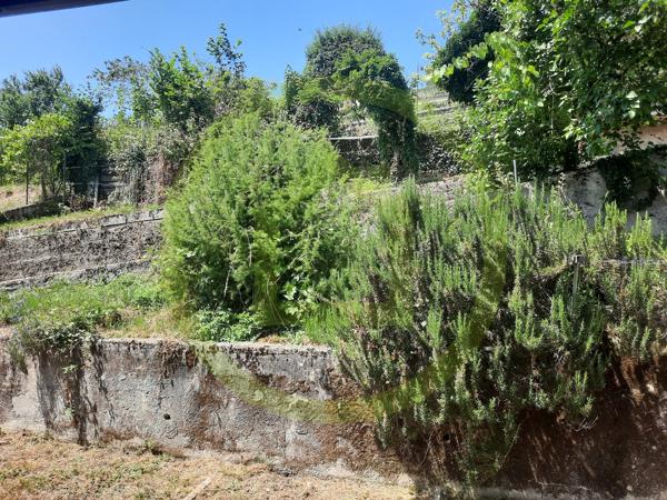 Maison individuelle à RIVES (38140)