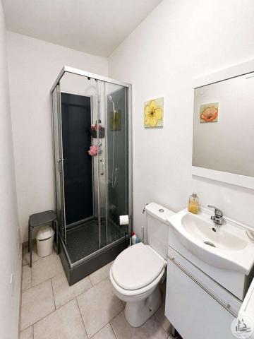 Charmante propriété en pierres avec gîte, piscine