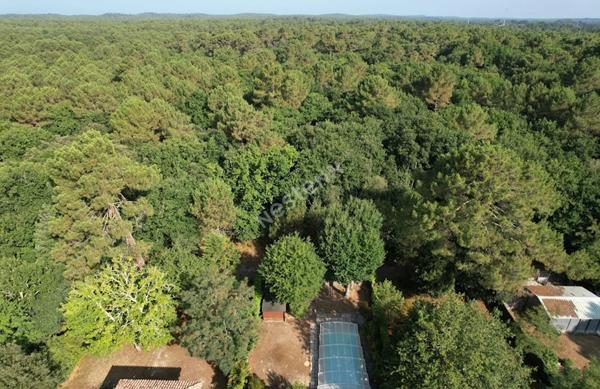 Maison Les Mathes 4 pièce(s) 111 m2