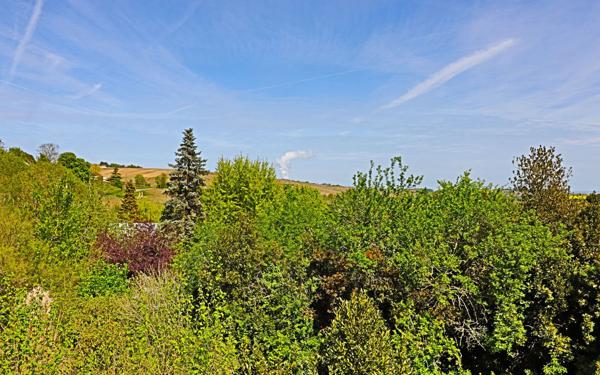 Maison à vendre    7 pièces • 229 m2 Sury-en-Vaux