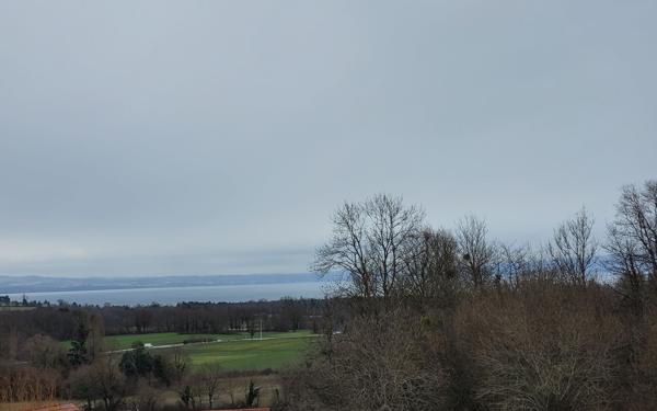 Terrain à vendre    Massongy